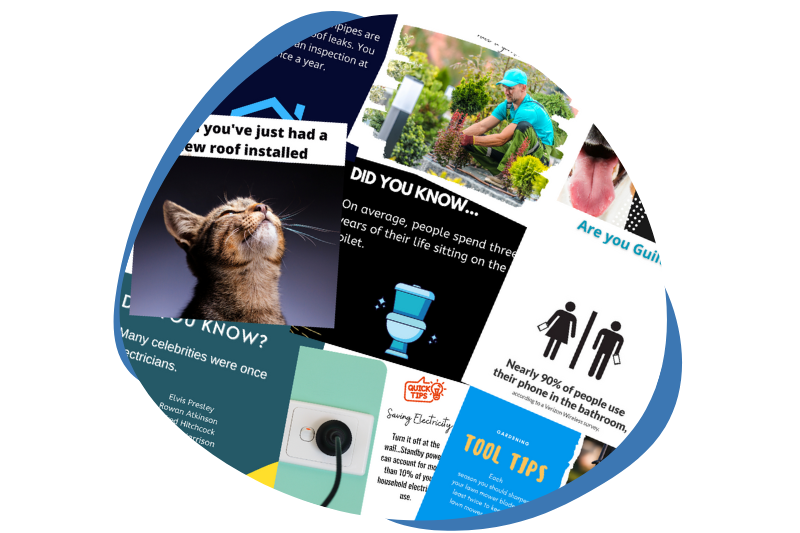 5 Starz Local DFY Posting